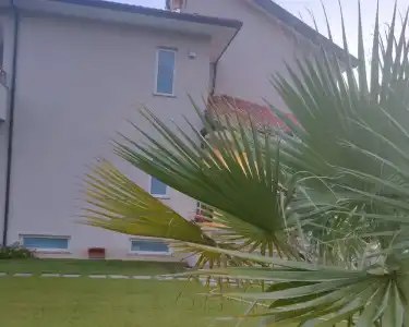 Villa Lauro Luxury B&B - 11
