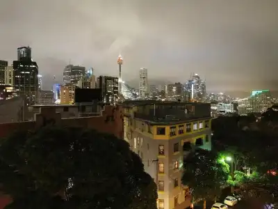 Sydney Wattle - 9