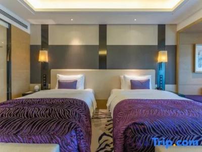Radisson Blu Wuhan ETD Zone - 102