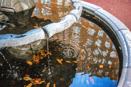 Warwick Melrose - 45