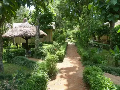 Nature Safari Resort - 8