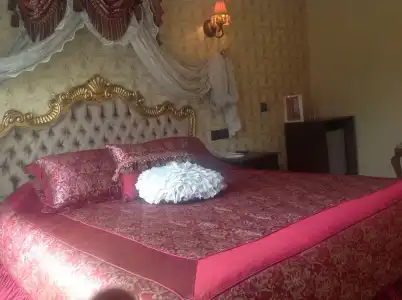 Aslan Istanbul - 2