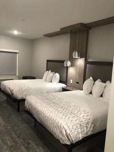 Downtowner Inn and Suites - - 19