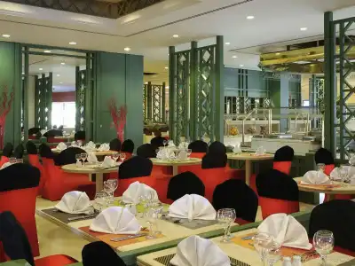 Mercure Cairo Le Sphinx - 15