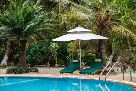 Hakuna Majiwe Beach Lodge - 49