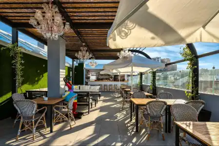 Mariposa Malaga - 13