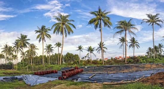 G Boutique Retreat Hoi An - 21
