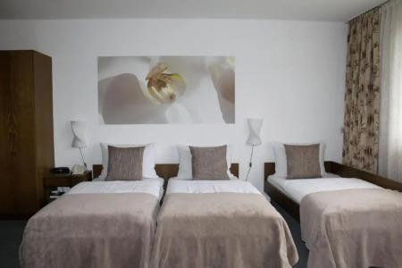 Stadt Gernsbach - 31