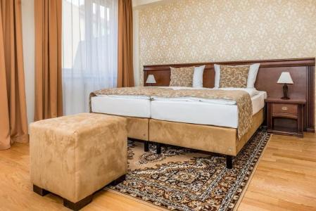 Wellness Pivovar Monopol - 1