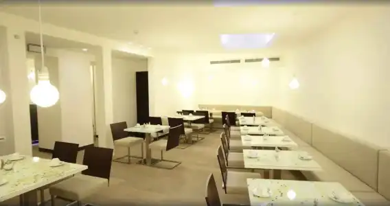Pure White - 14