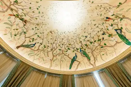 Khan-Chinar - 33