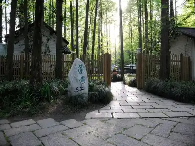 Lotus Glade - 1