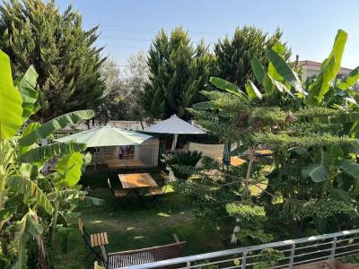 Lupa Alacati - 111