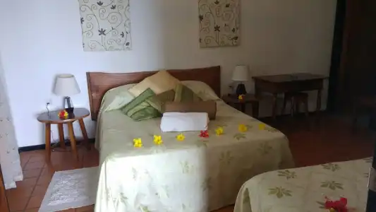 Mango Lodge - 115