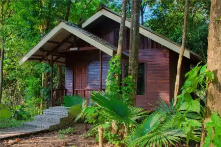 Khao Sok Riverside Cottage - 134