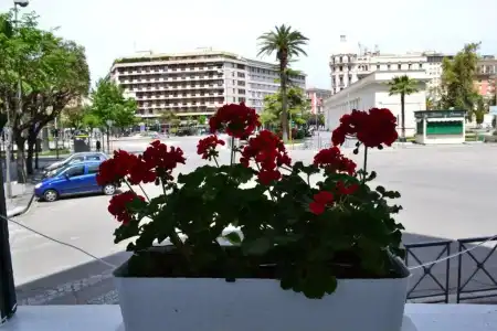 Conte di Cavour - 35
