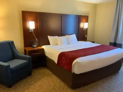 Comfort Suites Fredericksburg North - 41