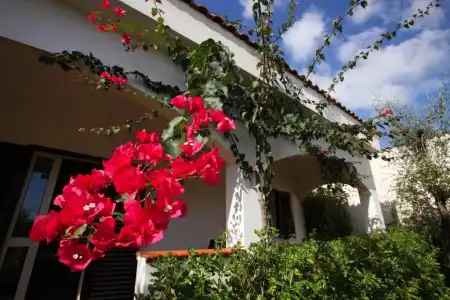 Residence Villantica - 305
