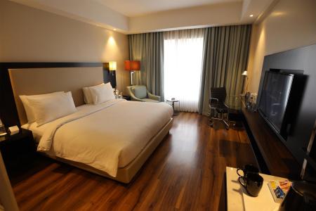Radisson Agra - 32