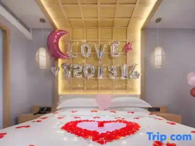 Hôtel Ibis Toulouse Purpan - 79