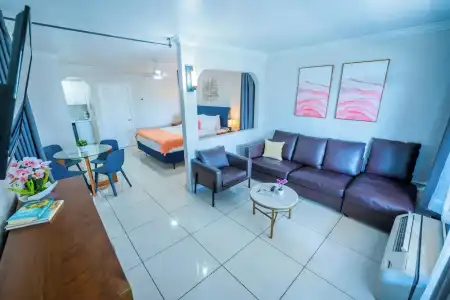 Boca Plaza - 142