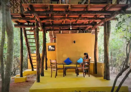 Back of Beyond - Pidurangala - 57