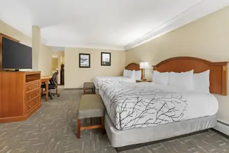 Best Western Plus Silver Saddle Inn - 3
