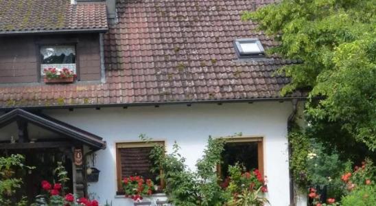 Pension Schöpke - 38