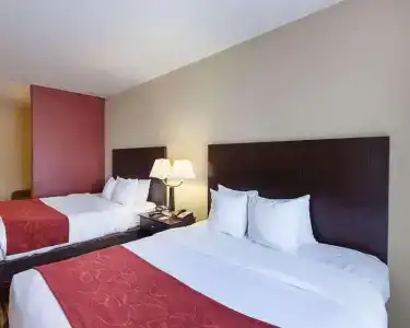 Comfort Suites Medical Center near Six Flags - 35