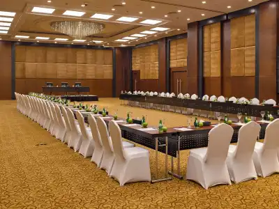 Radisson Blu & Convention Center, Alexandria - 14