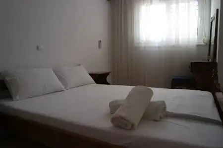 Stegna Dream - 1