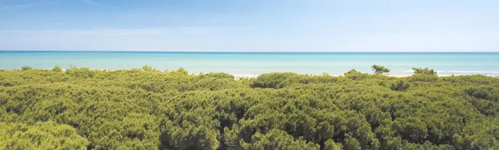 Stella del Mare - 13