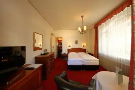 Soldanella - 2