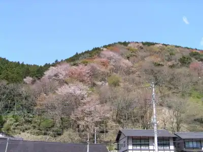 Sankichi - 14
