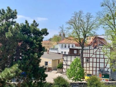 Villa le Palais Quedlinburg - 44