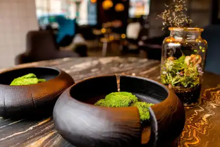 Motel One Edinburgh-Royal - 11
