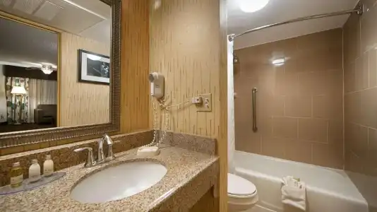 Best Western Plus El Paso Airport & Conference Center - 47