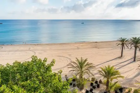 Capo San Vito - 80