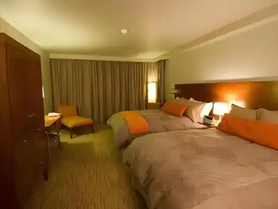 The Juniper - 39