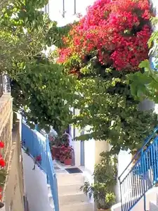 Panorama - 25