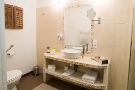 Hôtel l'Amandière - 65