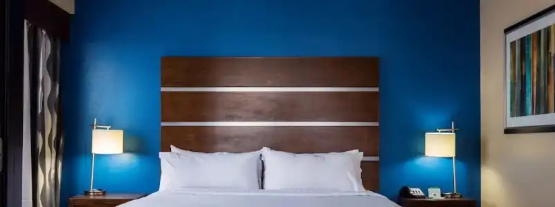 Holiday Inn Houston Downtown by IHG - 59