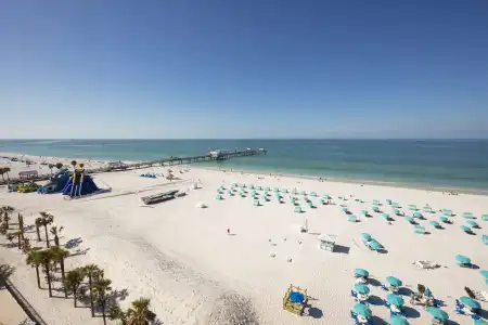 Hilton Clearwater Beach Resort & Spa - 27