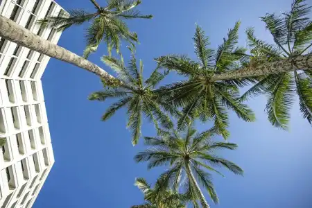 Rydges Esplanade Resort Cairns - 100