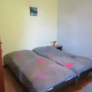 Tvishi Guest House - 7