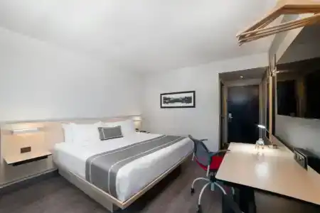 City Express Plus by Marriott Ciudad de México Insurgentes Sur - 52
