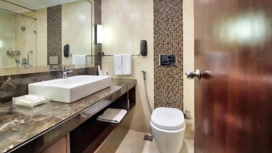 Radisson Jaipur City Center - 21