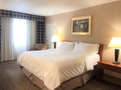 Holiday Inn Laval Montréal by IHG - 6
