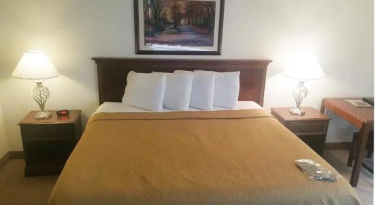 Alex and Suites - 21