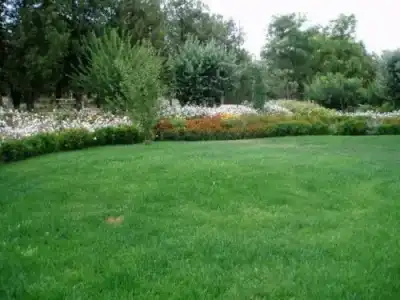 LOK Chernomorets Sanatorium - 1